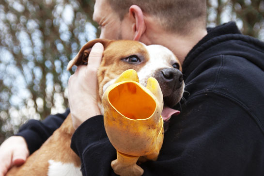 Protection animaux