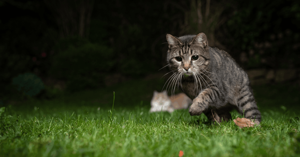 Une campagne pour mieux comprendre notre environnement