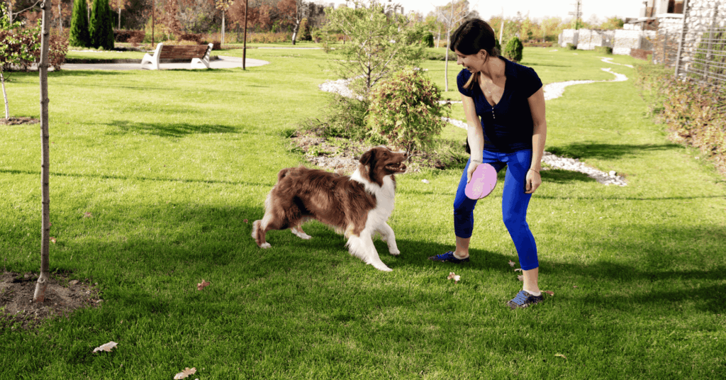 Pour une ville accueillante et respectueuse des animaux