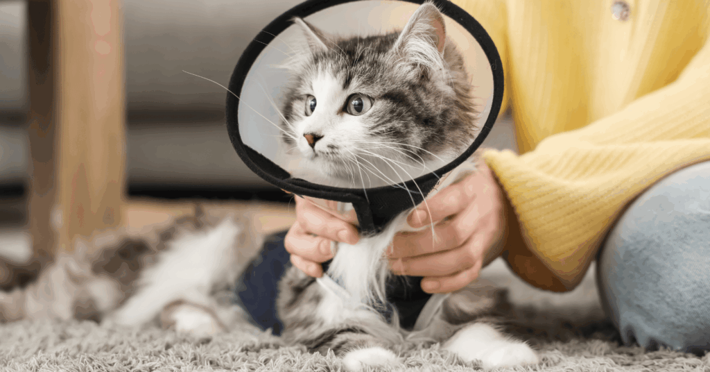 Une cause toujours d’actualité