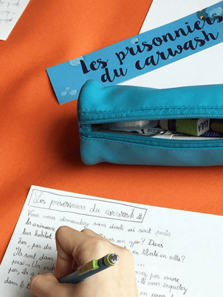 L’opération Carwash : un engagement fort pour le bien-être animal