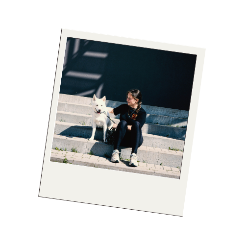 Comprendre le temps d’adaptation d’un animal adopté chez Sans Collier