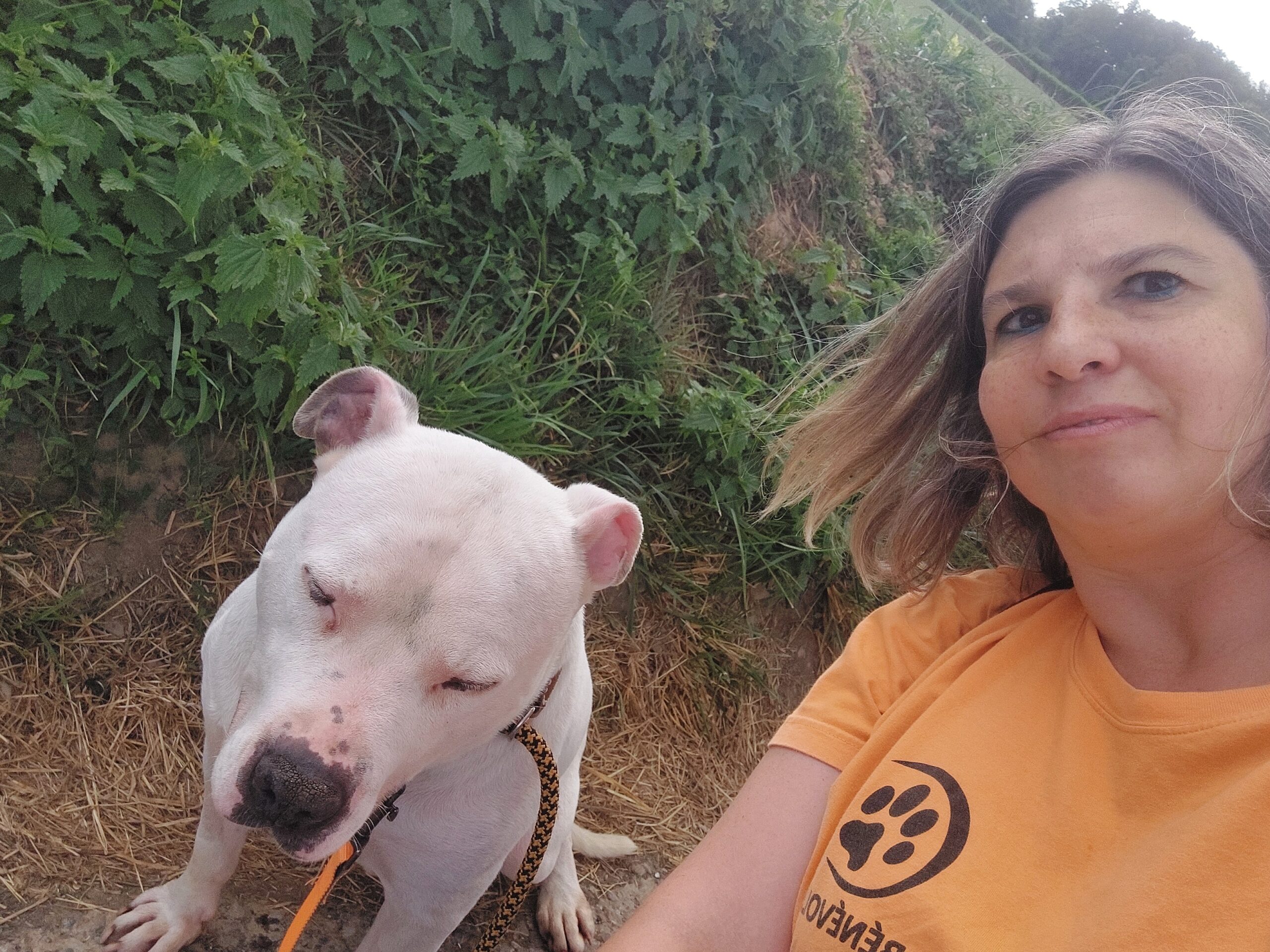 Séverine, bénévole terrain chien chez Sans Collier