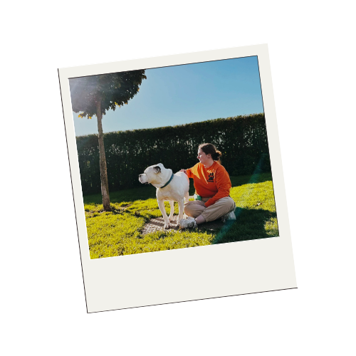 Comprendre le temps d’adaptation d’un animal adopté chez Sans Collier