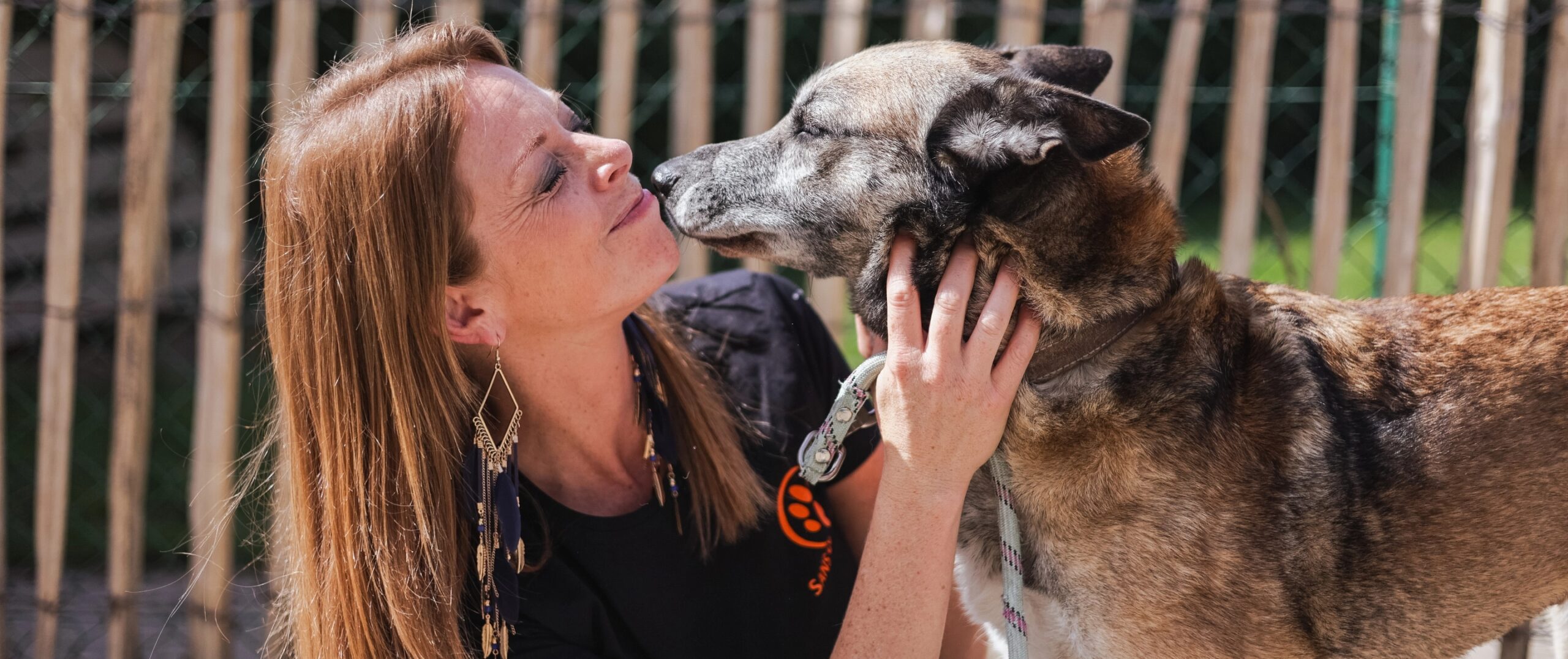 Les animaux adoptes Sans Collier