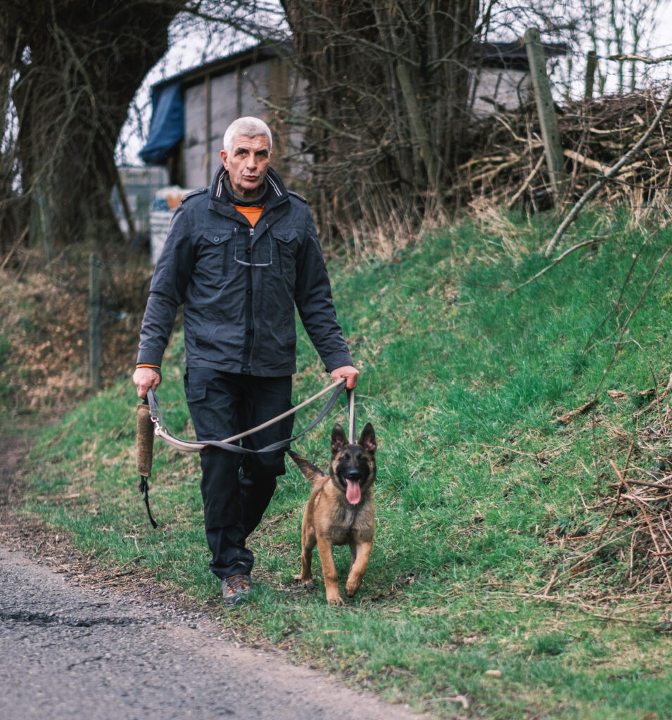 Vous souhaitez adopter un chien chez Sans Collier ?