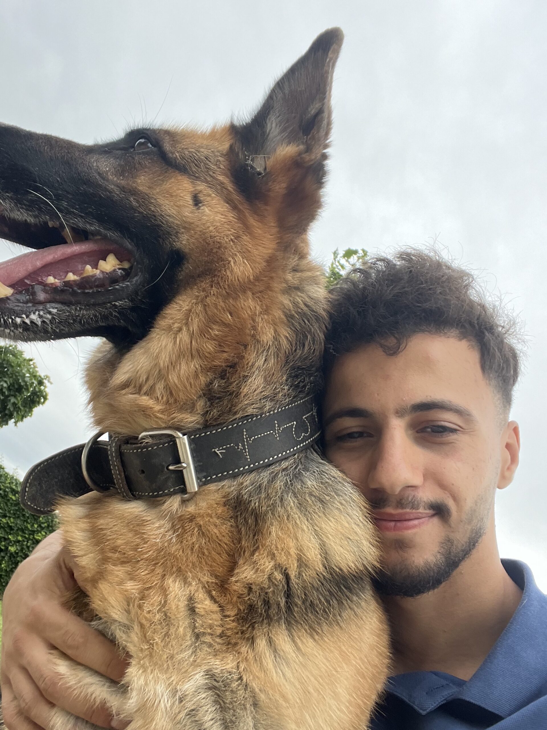 Youness, bénévole terrain chien chez Sans Collier