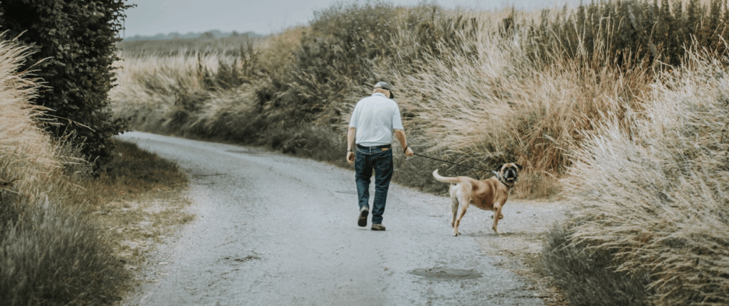 Adopter un animal de refuge : les bonnes questions à se poser !