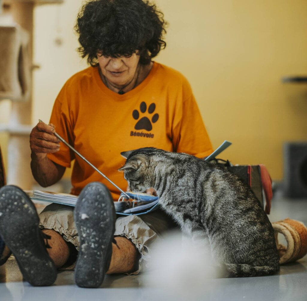 Vous souhaitez adopter un chat chez Sans Collier ?