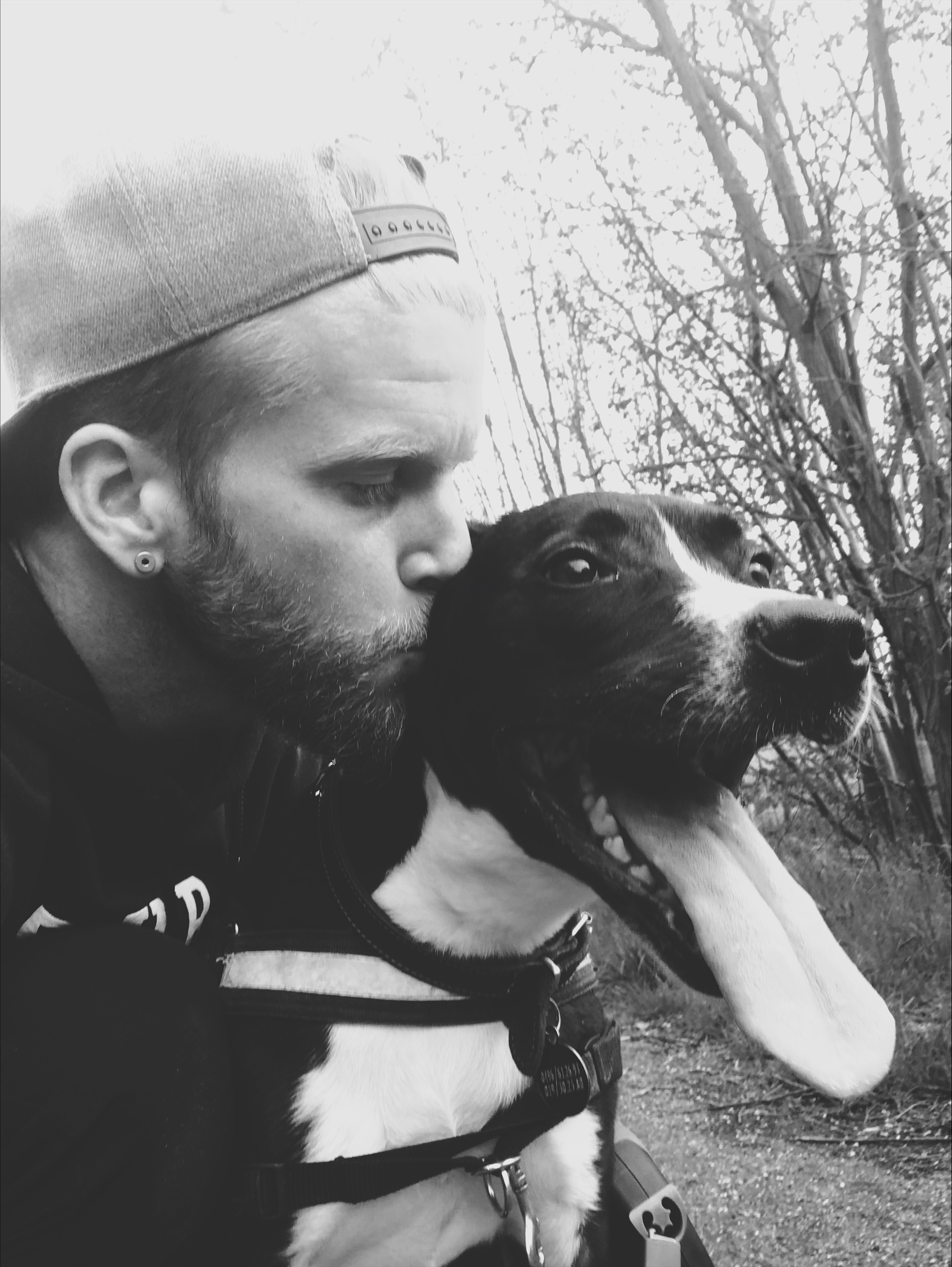 Rémy, bénévole médiation chez Sans Collier