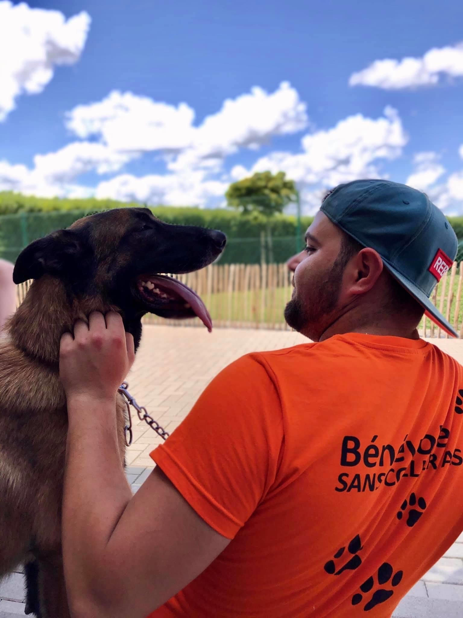 Nicolas, bénévole terrain chien chez Sans Collier