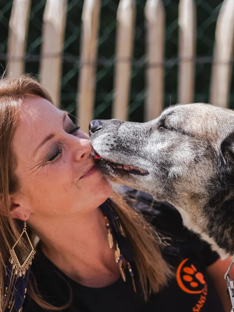 Les animaux adoptes Sans Collier