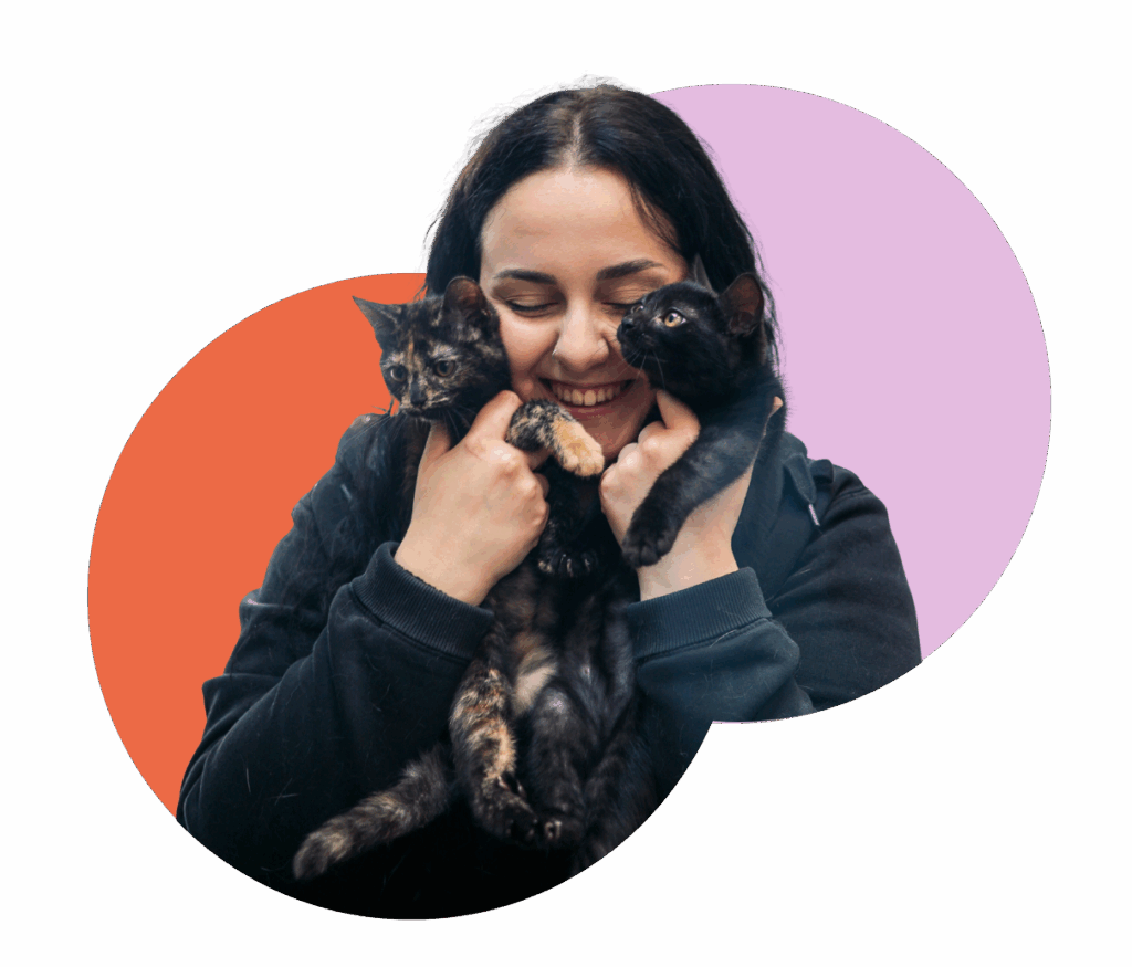 Les animaux trouvés perdus