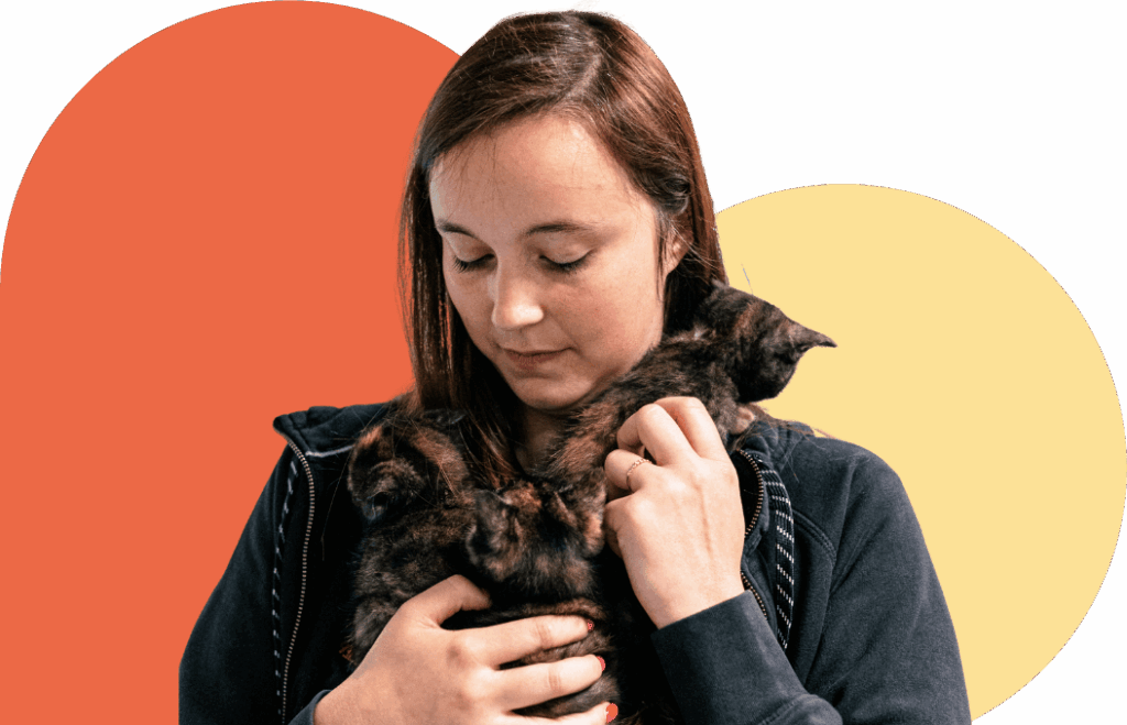 Les chats à adopter