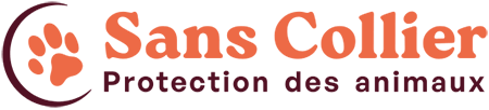 Sans Collier