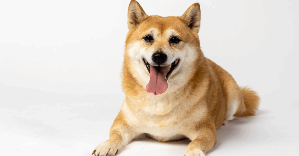 Michael Doutreloux, photographe et vidéaste