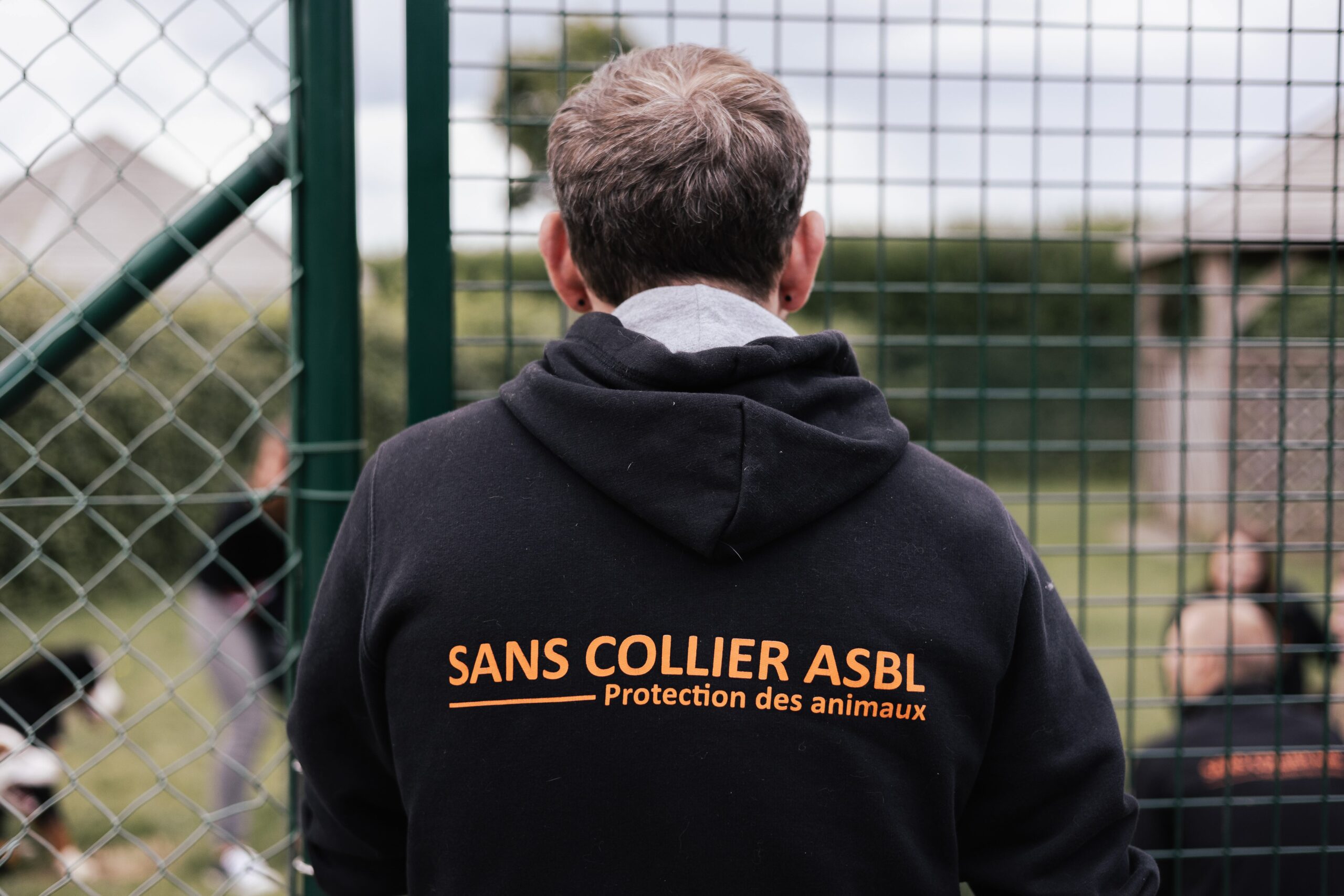 Sans Collier ASBL se professionnalise