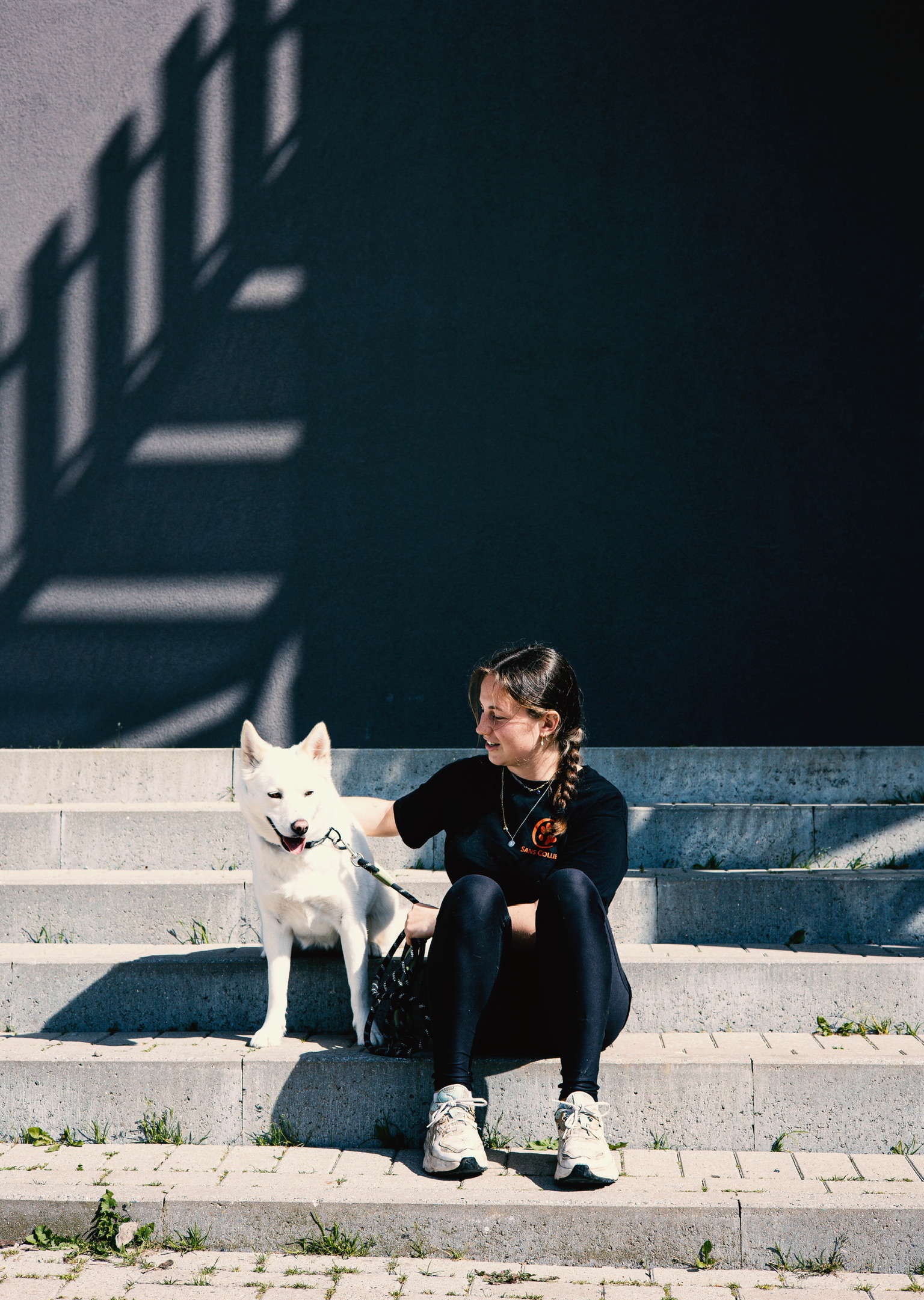 Sans Collier ASBL : Protection des animaux