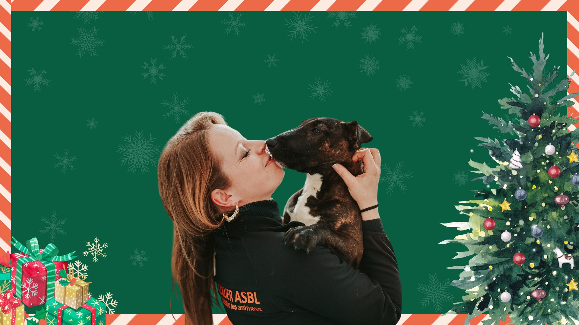 Noël des Animaux 2025 : Portes Ouvertes au Refuge Sans Collier à Perwez