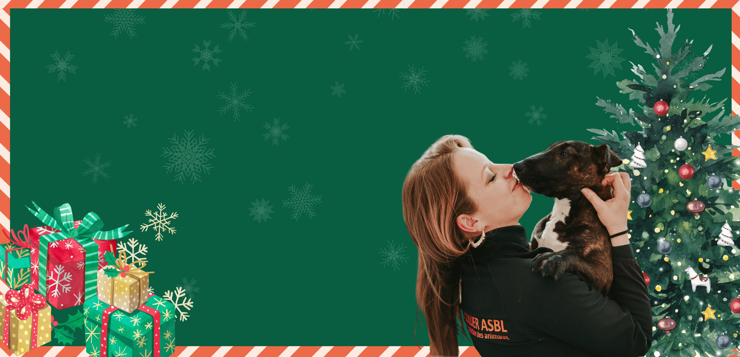 Sans Collier vous invite au Noel des Animaux le 13-14 décembre