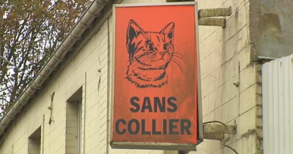 Sans Collier développe sa mission de refuge.