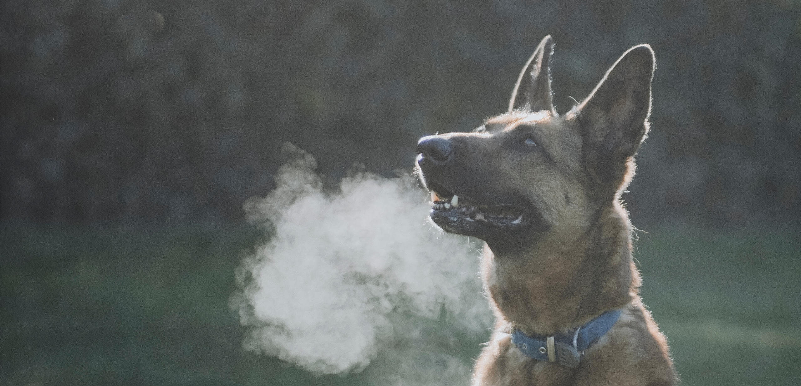 SC | Website - Slider Homepage - Lady