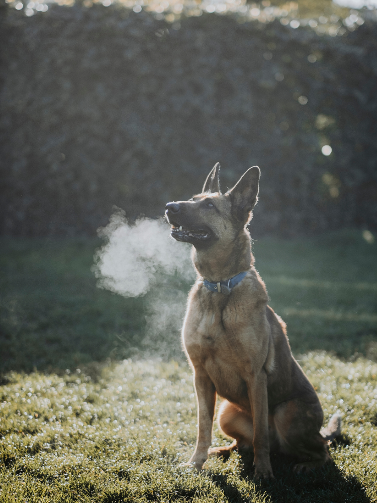 SC | Website - Slider Mobile Homepage - Lady