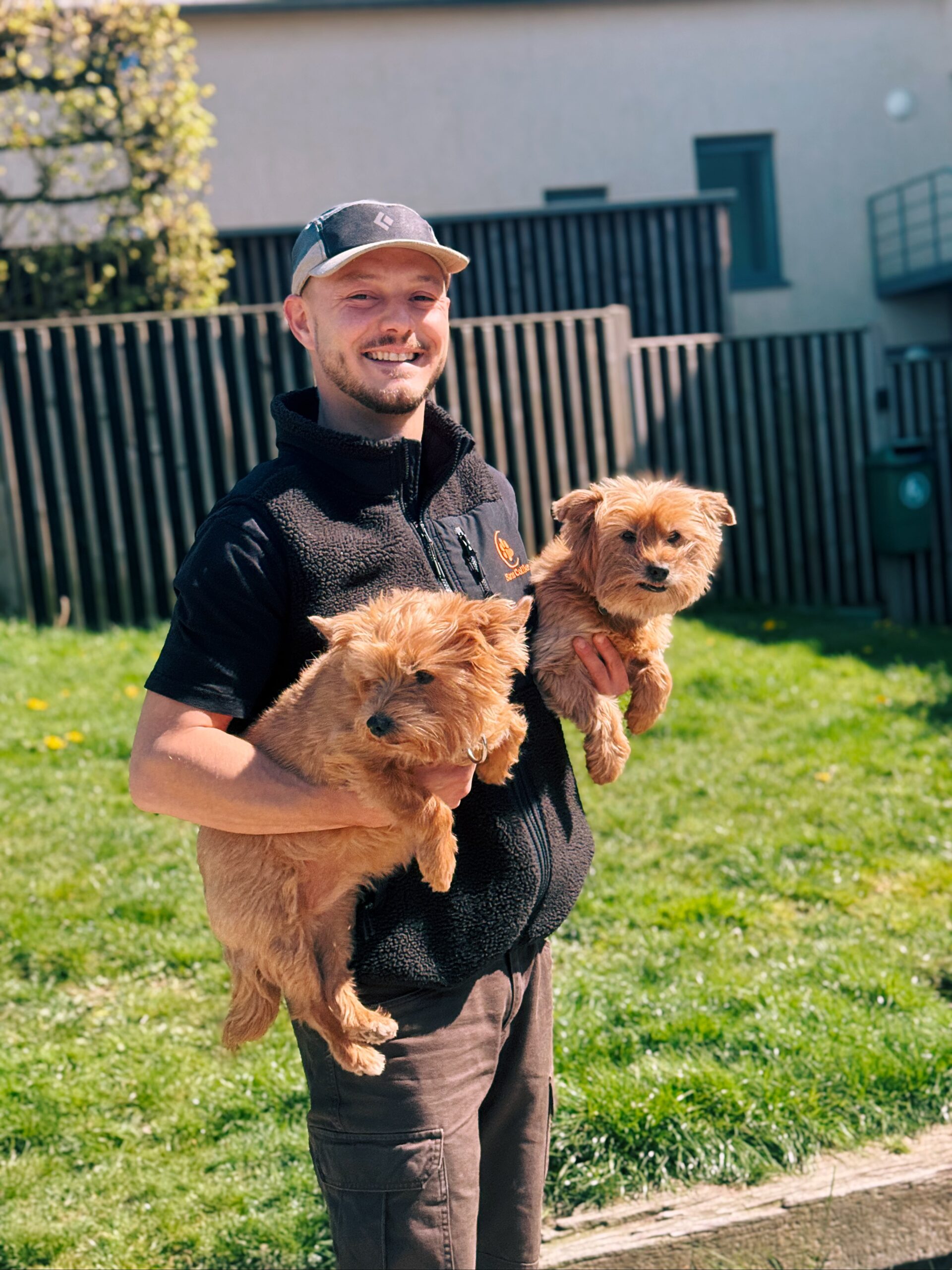 Chipie & Câline, chiennes à l'adoption chez Sans Collier