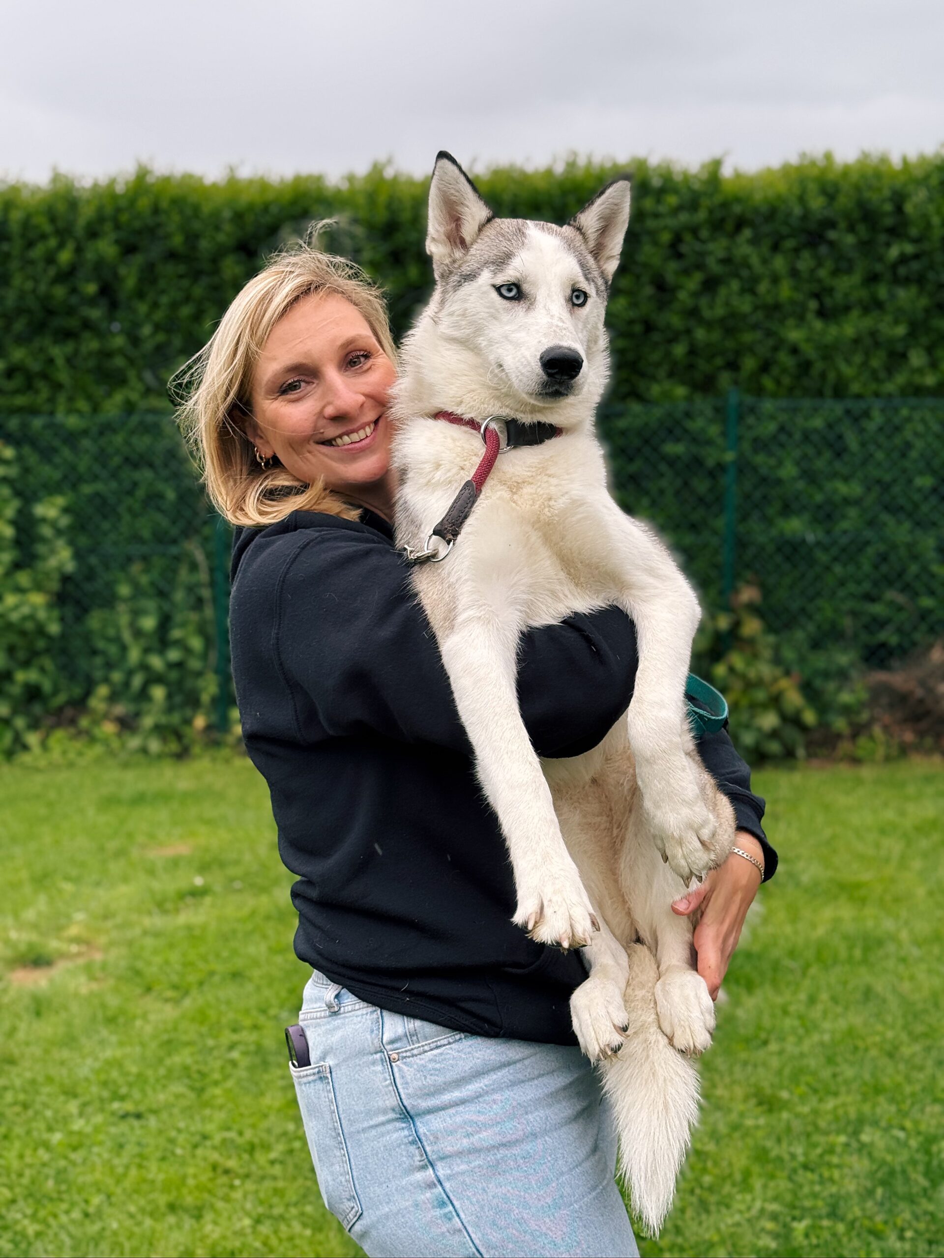 Tchany, chien à l'adoption chez Sans Collier