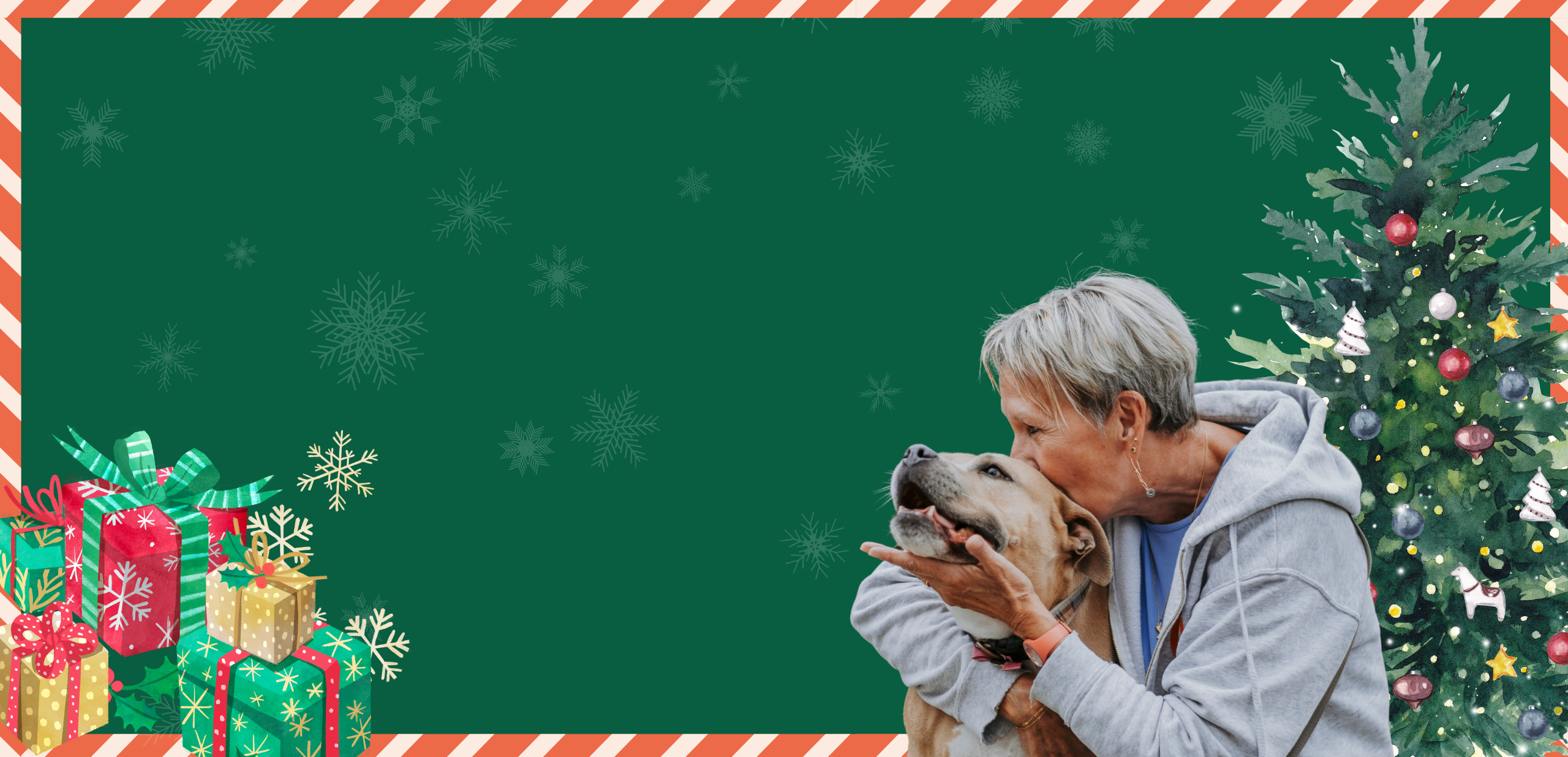 Sans Collier vous invite au Noel des Animaux le 12-13 décembre