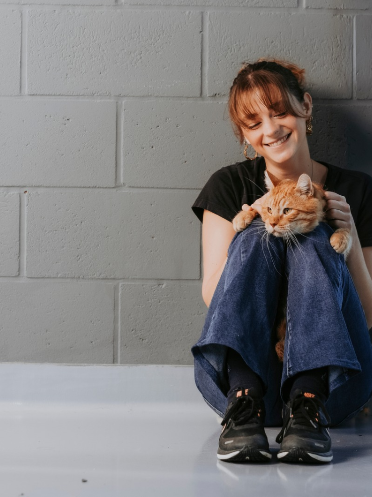 Cenoura, chat à l'adoption chez Sans Collier, Slider Homepage Mobile